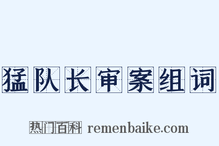 猛队长审案组词是什么意思的图片